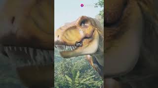 Ternyata Bumi Pernah Hujan Selama Dua Juta Tahun, Terjadi Sebelum Era Dinosaurus?