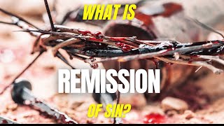 What is Remission of Sin?