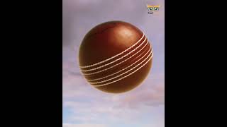 Cricket में use की जाने वाली गेंद की कीमत क्या है ? price of a cricket ball in international ball