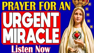 🛑✨ MIRACULOUS PRAYER TO OUR LADY FOR IMMEDIATE HELP WITH URGENT, IMPOSSIBLE PROBLEMS! 🛑