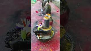 Om namah  shivaya #viralvideo #god #viral #short