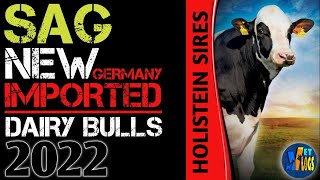 SAG NEW IMPORTED GERMANY BULLS 2022 || NDDB-SAG || Vet Vlogs ||