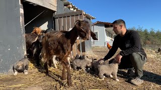 GÜNLERDİR SOĞUK VE YAĞMURLU HAVADAN SONRA ĞÜNEŞ AÇTI SON DURUMLAR