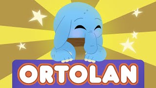 Ortolan | Galactic Pals | Star Wars Kids Italia