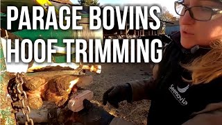 PARAGE BOVIN / HOOF TRIMMING