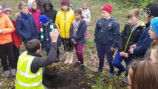 An Choill Bheag - Scoil Mháthair Dé & Limerick Educate Together