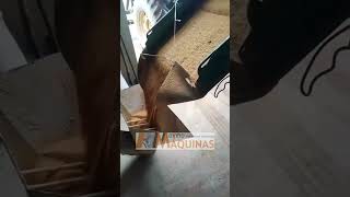 ENSACANDO PROTEINADO DO VAGÃO MISTURADOR