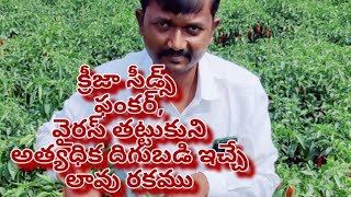 క్రీజా సీడ్స్    ఫంకర్  PH.7569476474