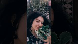 Впервые сажаю клубнику. Planting strawberrie ASMR