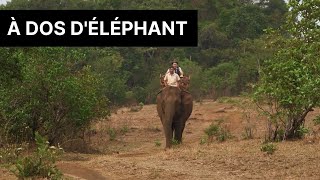 Bruno Blanchet a déjà fait une promenade à dos d'éléphant - TV5