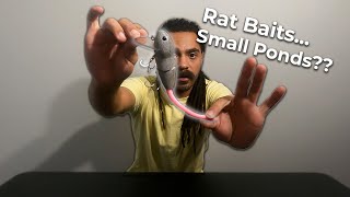 Do BIG RATS work in SMALL PONDS??? (Subscriber Giveaway!!!)