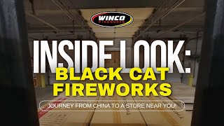 Inside Look: Black Cat Fireworks Journey From China to a Store Near You! 🚚