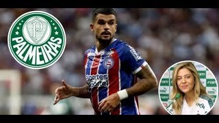 NOTÍCIAS DO PALMEIRAS QUE PREPARA NOVA INVESTIDA POR CAULY DO BAHIA