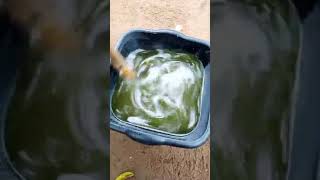 Locking the oil from liquid to solid shea butter