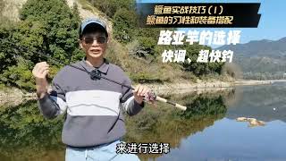 【#路亚鳜鱼】路亚初学与进阶：鳜鱼的实战技巧（1）鳜鱼的习性和装备搭配