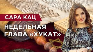 Недельная глава «ХУКАТ»