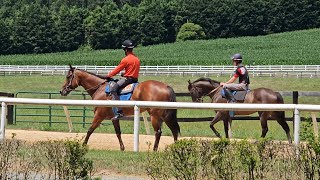 Amie's Symphony (rail) and Spoils of War (outside) on 7/19.