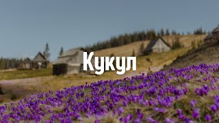 ГОРА КУКУЛ 1539 м | Одноденний похід на море крокусів