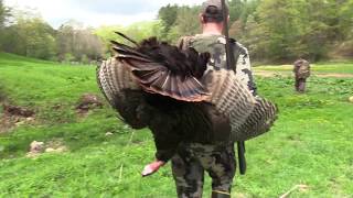 2019 Spring Turkey Stalk