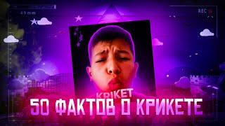 50 фактов о KRIKET'е