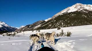 BALADE EN CHIENS DE TRAINEAU DANS LA VALLÉE DE LA CLARÉE - 2023