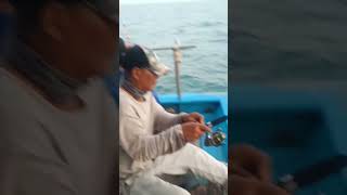 adu mekanik di spot pulau damar kepulauan seribu#short#angler amatiran