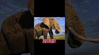 2023 Elephant 🐘🐘 and 5000 bce Elephant 🐘🐘 #shorts #viral