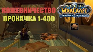 Гайд по прокачке КОЖЕВНИЧЕСТВА 1-450 | wow 3.3.5a