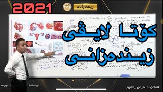 کۆتا لایڤی زیندەزانی بەشی 7