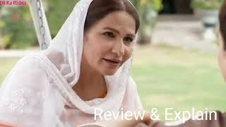 Pakistani drama Noor Jahan Review  - Digitally Presented by Nestle Nido - 31th August 2024