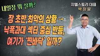 [내일장 뭐 살까?] 장 초반 최악의 상황 → 낙폭과대 섹터 중심 반등하며 코스닥 상승 전환 마무리, 여기가 ‘찐바닥’ 일까? | 박창윤 대표 | 주식 | 주가 | 투자 |