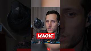 Pigeon performs Magic trick live on Twitch #viralshorts #magic #comedyshorts #twitchclips