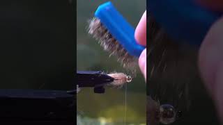 Muncy Creek Mop Fly! #flytying #timelapse #flyfishing #shorts #tutorial #mopfly