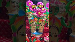 सामा चकेवा भाई-बहन के अटूट प्रेम का प्रतीक 🥰 SamaChakeva | SamaChakewaVideo | Sama Chakeva | Mithila