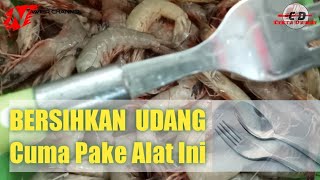 Cara Mudah Membersihkan UDANG