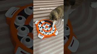 Newly Released KADTC Cat Toy W11352#cat #kitten #cattoys #foryou  #kadtc #kadtctoy