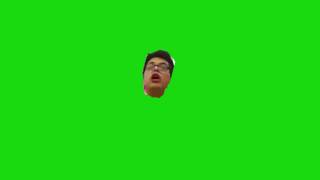 try me bitch green screen