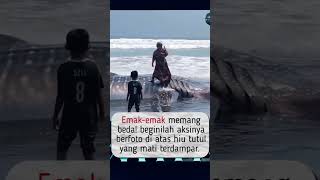 Momen Emak-emak Poto Diatas Ikan Hiu #shorts #trending #informasi #trendingshorts #berita #ikanhiu