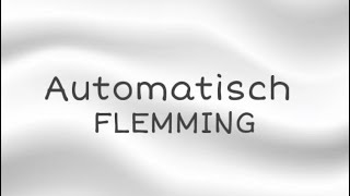 FLEMMING - Automatisch , Lyrics