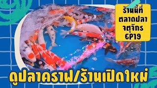 ดูปลาคราฟรัตนฟาร์ม - แนะนำร้านเปิดใหม่ l ร้านนี้ที่ตลาดปลาจตุจักร EP19