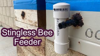 Stingless Bee Feeder (Single Hive)