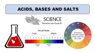 Acids, bases, and salts | Science Class 10 Chemistry