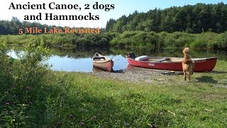 Ancient Canoe, 2 dogs and hammocks- Single night at 5 Mile Lake