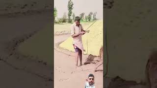 khoti kithe aae #funny #comedy #duet #villagelife #punjab #shorts #shortfeed #viralvideos #viral