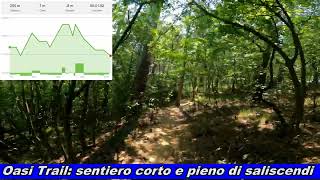 MTB Trieste Trails: Oasi Trail