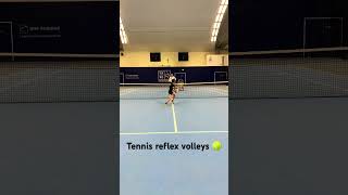 Tennis reflex volleys 🎾