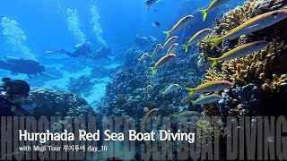 [4K] Egypt Hurghada Red Sea Boat Diving (with Muji Tour) 이집트 후루가다(홍해) 보트 펀 다이빙 with 무지투어 day_10