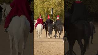 King’s Guard Horses 🐴 #viralvideo  #horse #lawenforcement #shorts #royalhorseguard #horseguard