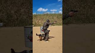 Training with Malinois and Firearm - TCC