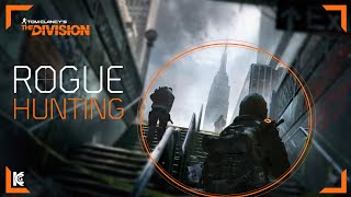 The Division | Rogue Hunting #2